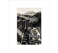Wee Blue Coo TRAVEL GSTAAD SWITZERLAND ALPINE RESORT GOAT WATERFALL FRAMED ART PRINT B12X6421