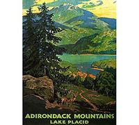 Wee Blue Coo TRAVEL TOURISM ADIRONDACK MOUNTAINS LAKE PLACID USA TREE 18x24 INCH ART POSTER PRINT PICTURE LV7472