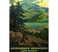 Wee Blue Coo Travel Tourism Adirondack Mountains Lake Placid USA Tree Canvas Print