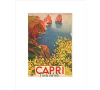 Wee Blue Coo Travel Tourism Capri Sun Island Flowers Sea Italy Wall Art Print