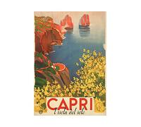 Wee Blue Coo Travel Tourism Capri Sun Island Flowers Sea Italy Wall Art Print