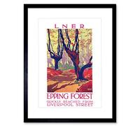 Wee Blue Coo Travel Vintage Ad Lner Epping Forest Liverpool Railway Framed Wall Art Print