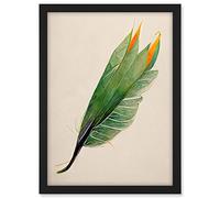 Wee Blue Coo Tropical Bird of Paradise Leaf Botanical Illustration Artwork Framed A3 Wall Art Print