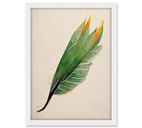 Wee Blue Coo Tropical Bird of Paradise Leaf Botanical Illustration Artwork Framed A3 Wall Art Print