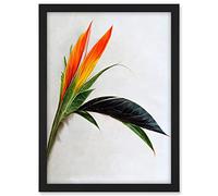 Wee Blue Coo Tropical Plant Bird of Paradise Flower Botanical Bloom Artwork Framed A3 Wall Art Print