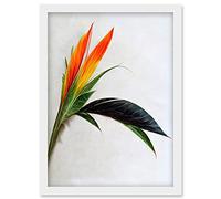Wee Blue Coo Tropical Plant Bird of Paradise Flower Botanical Bloom Artwork Framed Wall Art Print A4