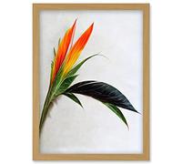 Wee Blue Coo Tropical Plant Bird of Paradise Flower Botanical Bloom Artwork Framed Wall Art Print A4