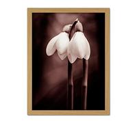 Wee Blue Coo Two Snowdrops Flowers Artwork Framed Wall Art Print 18X24 Inch