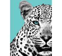 Wee Blue Coo Unframed Wall Art Close Up Beasties Leopard - 12X16 Inch