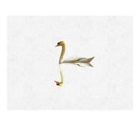 Wee Blue Coo Unframed Wall Art Simple Swan Reflection - 12X16 Inch
