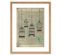 Wee Blue Coo UPCYCLE DICTIONARY BIRDCAGE BIRDS FRAMED ART PRINT POSTER F97X12401