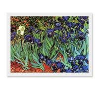 Wee Blue Coo Vincent Van Gogh Irises Artwork Framed Wall Art Print A4
