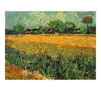 Wee Blue Coo Vincent Van Gogh View Arles With Irises Foreground Painting Art Print Poster Wall Decor 12X16 Inch