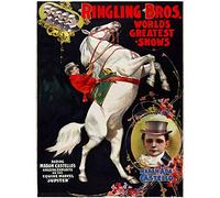 Wee Blue Coo Vintage Advert Circus Ringling Bros Castello Jupiter Poster Art Print Bb12722B
