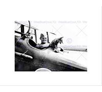 Wee Blue Coo Vintage Pilot Fox Aeroplane Cool Cute Aviation USA Wall Art Print
