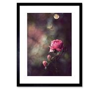 Wee Blue Coo Vintage Pink Rose Flower Shabby Chic Picture Framed Wall Art Print