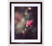 Wee Blue Coo Vintage Pink Rose Flower Shabby Chic Picture Framed Wall Art Print