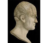 Wee Blue Coo Vintage Science Phrenology Head Spurzheim Organ Brain Art Print Poster Wall Decor 12X16 Inch