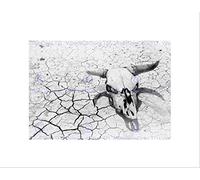 Wee Blue Coo VINTAGE STILL LIFE DESERT FLOOR COW SKULL CRACK DRY FRAMED ART PRINT B12X3538