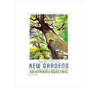 Wee Blue Coo Vintage Travel Kew Gardens Southern Electric Tree Bird Wall Art Print