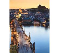 Wee Blue Coo Vltava River Charles Bridge Prague Czech Republic Cityscape Art Print Poster Wall Decor 12X16 Inch
