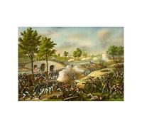 Wee Blue Coo War American Civil Battle Antietam New Framed Art Print Picture F12X1827
