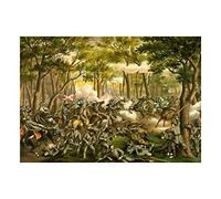 Wee Blue Coo War American Civil Battle Wilderness USA New Wall Art Print