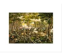 Wee Blue Coo War American Civil Battle Wilderness USA Wall Art Print