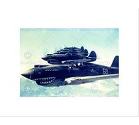 Wee Blue Coo WAR FLYING FORMATION JET FIGHTER AIR FORCE SHARK TOOTH FRAMED PRINT B12X3573