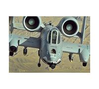 Wee Blue Coo War Military Plane Fighter Jet A-10 Thunderbolt II Wall Art Print