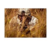 Wee Blue Coo War Photo Military Army Camouflage Defense Soldier Field Wall Art Print