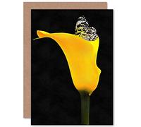 Wee Blue Coo YELLOW FLOWER BLACK WHITE BUTTERFLY PHOTO BIRTHDAY BLANK GREETINGS CARD