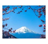 Wee Blue Coo Ying Cherry Blossom Mount Fuji Japan Art Print Poster Wall Decor 12X16 Inch