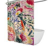 WEECHAINGE Rural Farmhouse Soft Cloth Fabric Shower Curtain Henri Matisse Style Art Painting Bathroom Shower Curtain Set with 12 Plastic Hooks W160xL180cm
