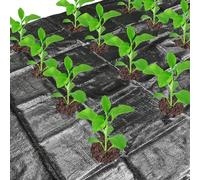 Weed Control Membrane,Weed Barrier Landscape Fabric With Holes,Weed Barrier,Plant Weed Block Gardening Weed Blocker Barrier,Garden Ground Membrane Mats,for Raised Bed Outdoor (C)