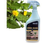Weed Gone 1L Glyphosate-Free Weedkiller - Fast Acting Natural Formula. 24 Hour Visible Results. Pet & Eco-Friendly. Kills Weeds & Moss on Paths, Driveways & Patios. UK Made, Recyclable Spray Bottle