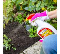 Weedol Rapid Weedkiller, Ready To Use,