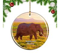 Weekino Ambosele Nation Park Amboseli Kenya Christmas Xmas Tree Ornament Decoration Hanging Pendant Decor City Travel Souvenir Collection Double Sided Porcelain 2.85 Inch