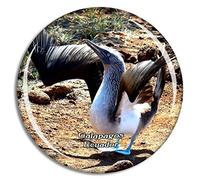 Weekino Ecuador Blue-Footed Boobie Galapagos Fridge Magnet Travel Souvenir City Collection 3D Crystal Glass Gift Strong Refrigerator Sticker