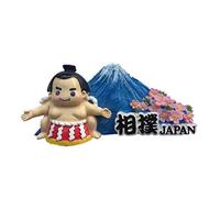 Weekino Mount Fuji Sumo Japan Magnet 3D Resin Fridge Magnet Souvenir Travel City Collection