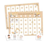 Weekly Plan for Children with 315 Routine Cards and Storage Bag - Visual Daily Plan for Morning and Evening Routines, Child-friendly and Clear