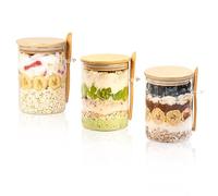 WEELOO Overnight Oats Jar, 3pcs Overnight Oat Containers with Lids and Spoons, Glass Kitchen Food Storage Jars for Overnight Oat Pudding Coffee Tea Sugar Bath Salts Spice