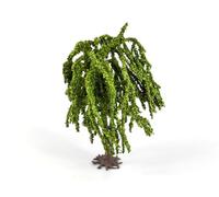 Weeping Willow Premium Tree