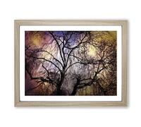 Weeping Willow Tree In Abstract Modern Art Framed Wall Art Print, Ready to Hang Picture for Living Room Bedroom Home Office Décor, Oak A2 (64 x 46 cm)