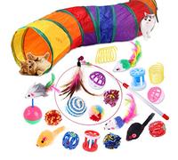 Wefine 20 Pcs Cat Toys, Kitten Toys for Indoor Cats, Cat Tunnel Interactive Feather Teaser Wand Ball Toy Set for Kitty and Cats