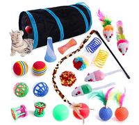 Wefine 22 Pcs Cat Toys for Indoor Kitten, Interactive Cat Kitten Toys Set, Collapsible Cat Tunnel Feather Wand Ball Spring Mice, 22pcs Blue Black