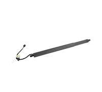 WEFOLCC Electric Tailgate Struts For Hyundai For Palisade 3.8L V6 2020 2021 2022 Rear Trunk Liftgate Power Hatch Lift Support Opener Electric Tailgate Gas Struts 81831S8100 (Rear Right Tailgate)