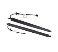 WEFOLCC Electric Tailgate Struts For Hyundai For Palisade 3.8L V6 2020 2021 2022 Rear Trunk Liftgate Power Hatch Lift Support Opener Electric Tailgate Gas Struts 81831S8100 (Right and Left)