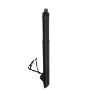 WEFOLCC Electric Tailgate Struts Rear Left Right Electric Tailgate Gas Strut For B&MW X3 F25 18i 20i 28i 35i 51247232003 51247232004 (Right)