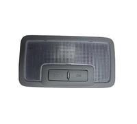 WEFOLEN For Kia For Sorento 2009 2010 2011 2012 2013 2014 928502P100 Grey Indoor Center Ceiling Reading Light